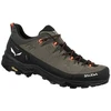 Image de Chaussures Salewa  Alp Trainer 2 P28833065