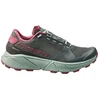 Image de Trail Dynafit  Chaussures de trail running  Ultra 100 Gore-Tex gris P32771995