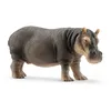 Image de Wild Life Hippopotame