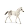 Image de Horse Club Poulain Holstein