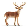 Image de schleich WILD LIFE Cerf de Virginie
