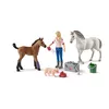 Image de schleich FARM WORLD Visite du vÃ©tÃ©rinaire pour jument et poulain
