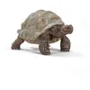 Image de schleich WILD LIFE Tortue gÃ©ante