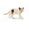 Image de Farm World  Chat AmÃ©ricain shorthair