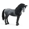 Image de Horse Club Jument pure race espagnole