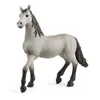 Image de Horse Club Poulain pure race espagnole