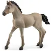 Image de schleich HORSE CLUB Poulain Criollo Definitivo