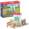Image de Horse Club Box Avec Ãtalon Pur-Sang Anglais