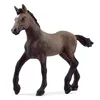 Image de Schleich Horse Club Poulain Paso PÃ©ruvien