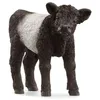 Image de schleich FARM WORLD Veau Galloway
