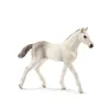 Image de Horse Club Poulain Holstein
