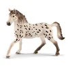Image de Horse Club Etalon Knabstrup