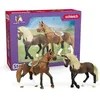 Image de schleich Mes Premiers chevaux Paso PÃ©ruvien