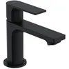 Image de Hansgrohe Rebris E Robinet 80, 72506670