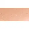 Image de Essence Fond de Teint Stick (Fond de Teint Stick) 10 G - Teinte : 170