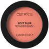 Image de Blush & poudres Catrice  Blush Soft Blur Floutant - 10 Lychee Lush P32500827