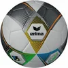 Image de Ballon Erima Hybrid Eco Argenté Taille 5 7192317