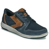 Image de Baskets basses Josef Seibel  ENRICO 20 M66827899