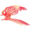 Image de Accessoires cheveux Invisibobble  Clipstar L coral Hug P32534985