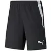 Image de Short Puma  Teamliga P30018343