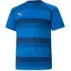 Image de Maillot enfant Puma TeamVision Bleu 11/12 ans 704928-02