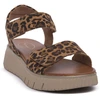 Image de Sandales compensées Jana  LEOPARD SANDAL M67919330