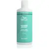 Image de Wella Invigo Masque Volumisant 500 ml