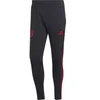 Image de Pantalon d'entraînement FC Bayern Munich Condivo 2022/23 Gris XS HG1352