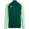 Image de Sweatshirts adidas  Tiro 23 Competition P30117675