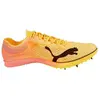 Image de Chaussures Puma  Evospeed Distance Nitro Elite Spikes M65900084