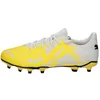 Image de Chaussures de foot Puma  - P31239269
