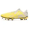 Image de Chaussures de foot Puma  Future Play P29591398