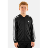 Image de Sweatshirts à capuche adidas  hy1102 P28796207