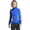 Image de Veste adidas  TIRO24 TRJKTW P32132522