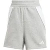 Image de Short femme adidas Tiro 24 Gris L IR9327