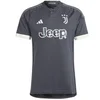 Image de Maillot Third Juventus Turin 2023/24 Gris XL HR8250