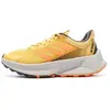 Image de Trail adidas  Terrex P32116231