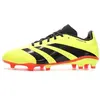 Image de Chaussures de foot enfant adidas  Predator P30464925