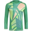 Image de Maillot de gardien manches longues adidas Tiro 24 Pro Vert S IS5350
