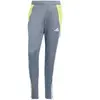 Image de Pantalon d'entraînement adidas Tiro 24 Gris M IV6945