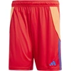 Image de Short adidas Tiro 24 Rouge L IT2416