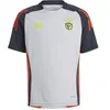 Image de Maillot enfant Benfica Lisbonne Tiro 2024/25 Gris 9/10 ans IT3520