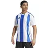 Image de Maillots de bain adidas  Striped 24 Player P30438696