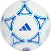 Image de Ballon Argentine Argentum Club Blanc Taille 4 IX4013