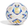 Image de Ballon Argentine Association Competition 2024 Blanc Taille 4 IX4016
