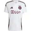 Image de Maillot Third Ajax Amsterdam 2024/25 Gris S IT6156
