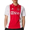 Image de Polo adidas  Domicile 24/25 P31692710