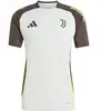 Image de Maillot d'entraînement Juventus Turin Tiro 2024/25 Gris S JJ1548