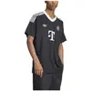Image de T-shirt adidas  Maillot  Gardien de but FC Bayern 24/25 Third P31091977