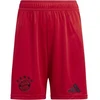 Image de Short enfant adidas  Bayern Munich 24/25 P31706968